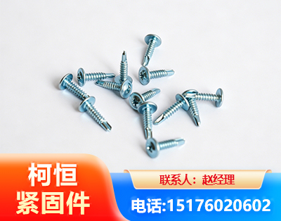 惠州华司钻尾丝